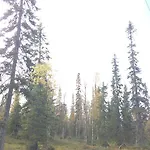 Kuukkeli *