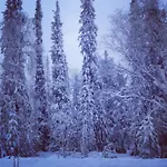 Kuukkeli