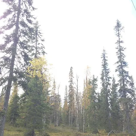 Kuukkeli *