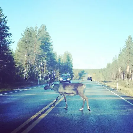 Kuukkeli
