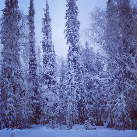 Kuukkeli